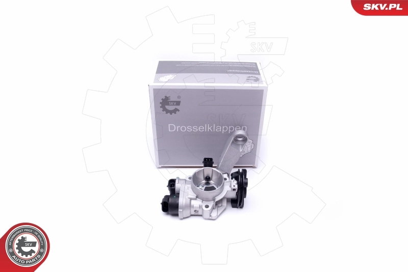 Throttle Body
